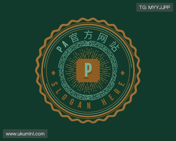 发现pa集团
